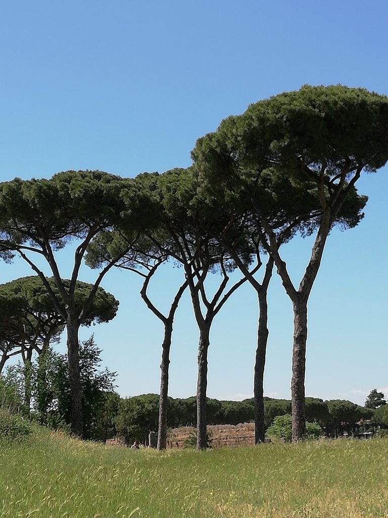 parc des aqueducs pins