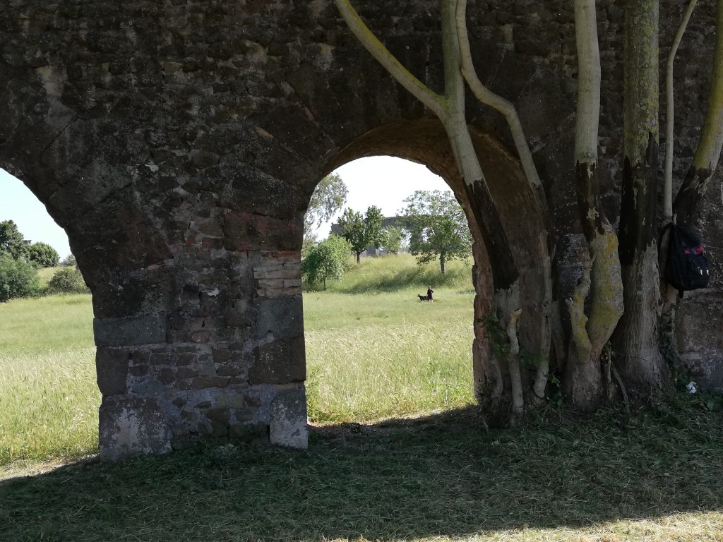 visite guidée du parc des Aqueducs